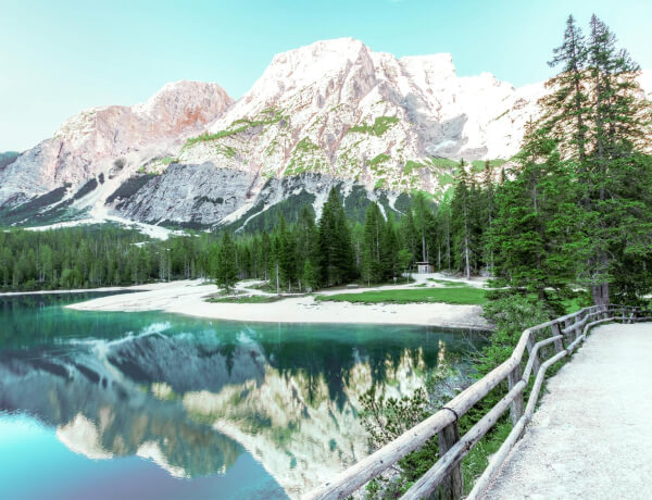 Services Services 02